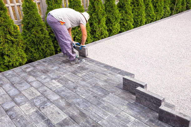 Best Driveway Pavers Near Me  in Tusculum, TN